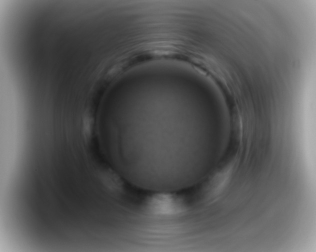 X0000099950227200805231328
