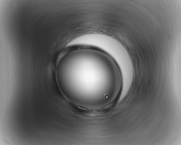 X0000099950229200805231328