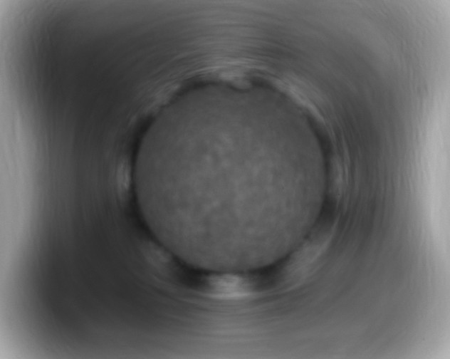 X0000099950230200805231328