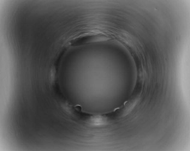 X0000099950231200805231328