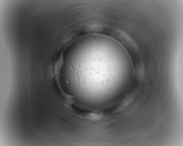 X0000099950232200805231328