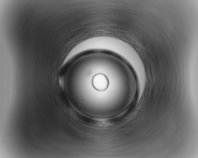 X0000099950233200805231328