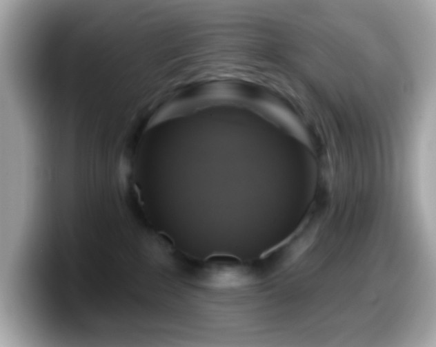 X0000099950235200805231328