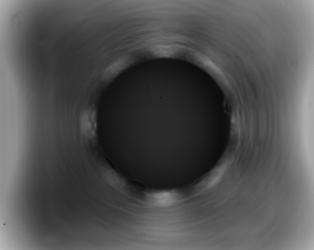 X0000099950237200805231328