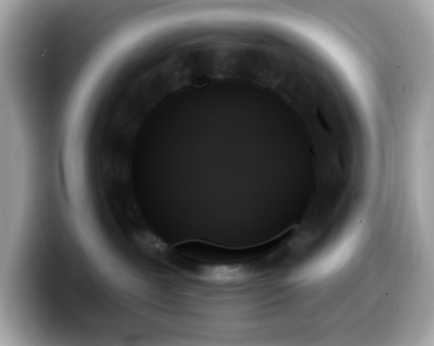 X0000099950239200805231328