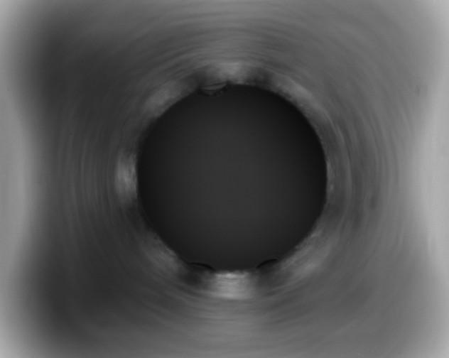 X0000099950240200805231328