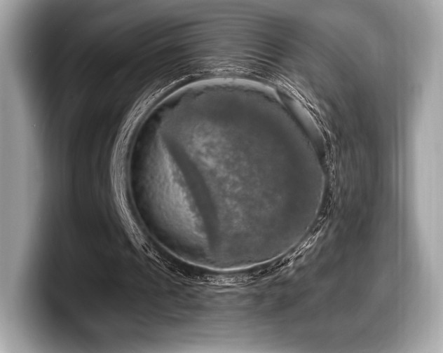 X0000099950241200805231327
