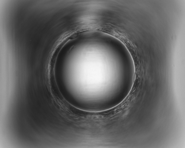 X0000099950242200805231327