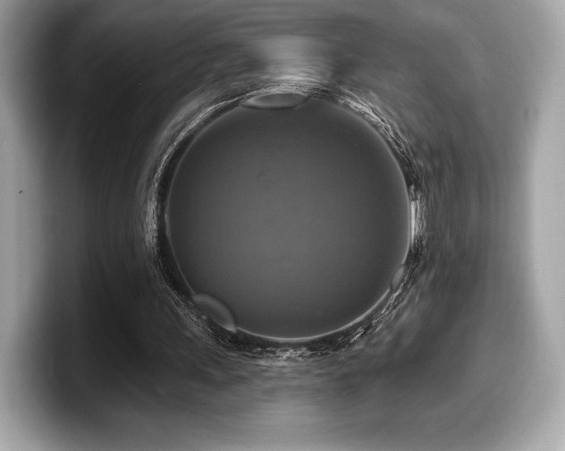X0000099950243200805231327