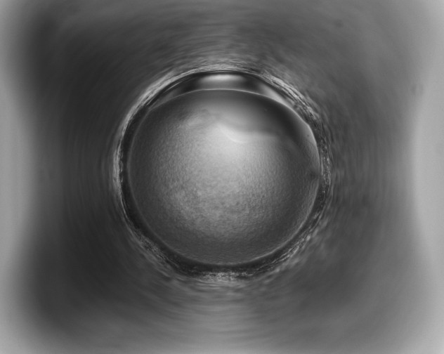 X0000099950244200805231327