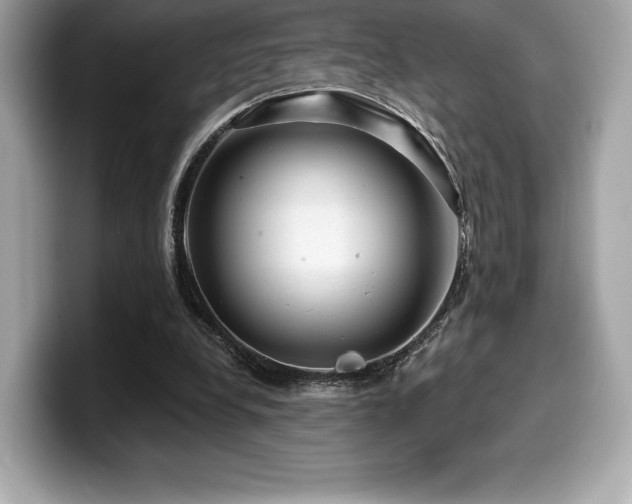 X0000099950248200805231327