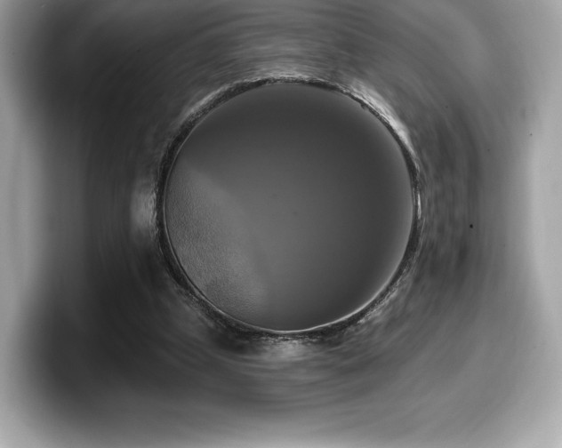 X0000099950249200805231327