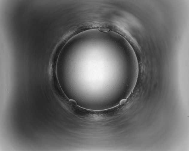 X0000099950250200805231327