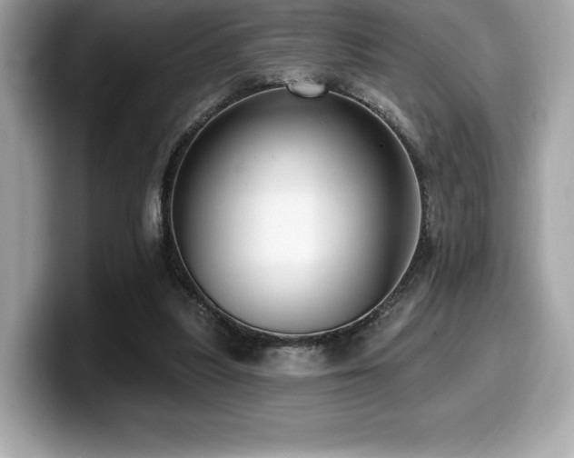 X0000099950251200805231327