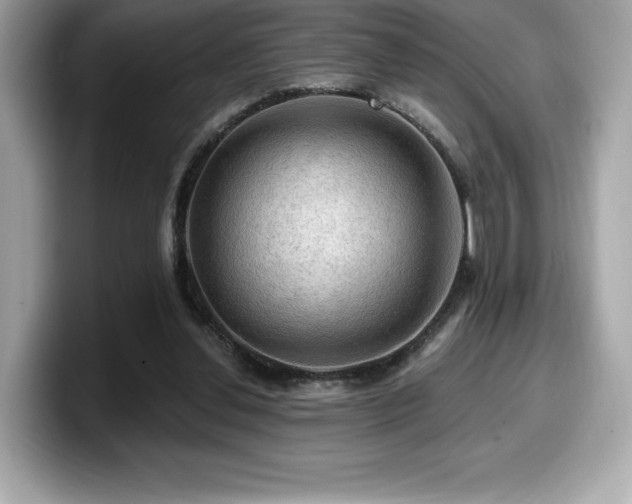 X0000099950252200805231327