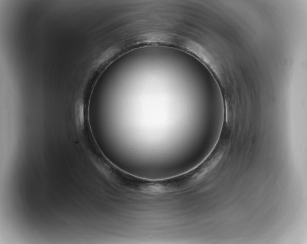 X0000099950253200805231327