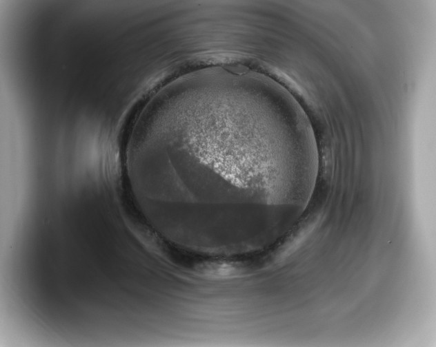 X0000099950254200805231327