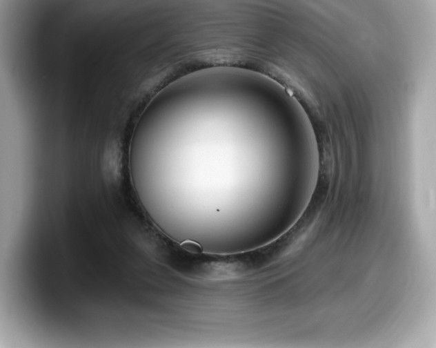 X0000099950255200805231327