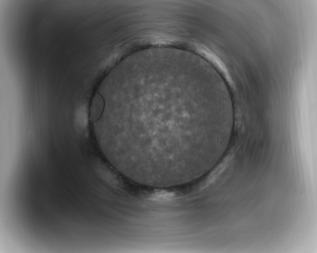 X0000099950257200805231327