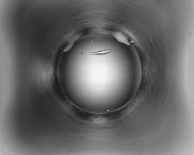 X0000099950258200805231327