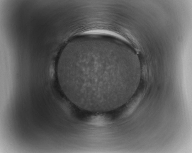 X0000099950259200805231327