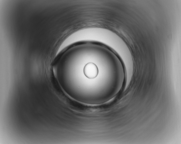 X0000099950260200805231327