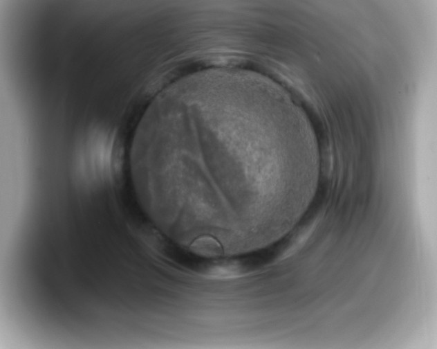 X0000099950263200805231327