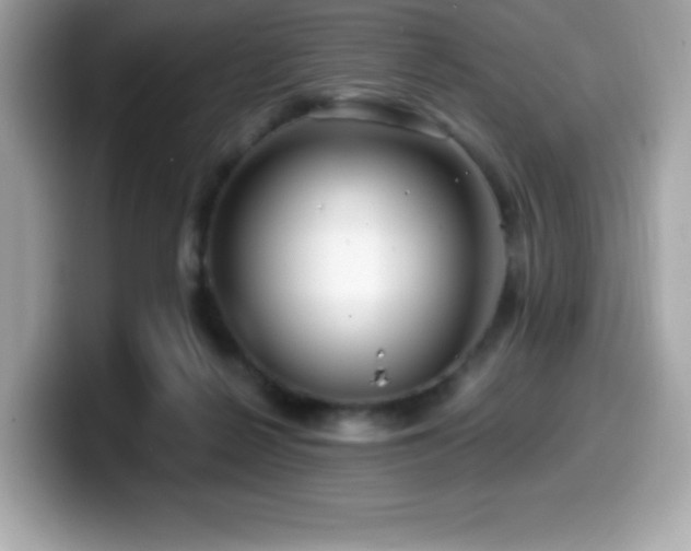 X0000099950264200805231327