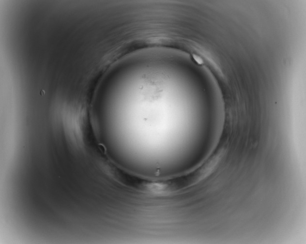 X0000099950265200805231327