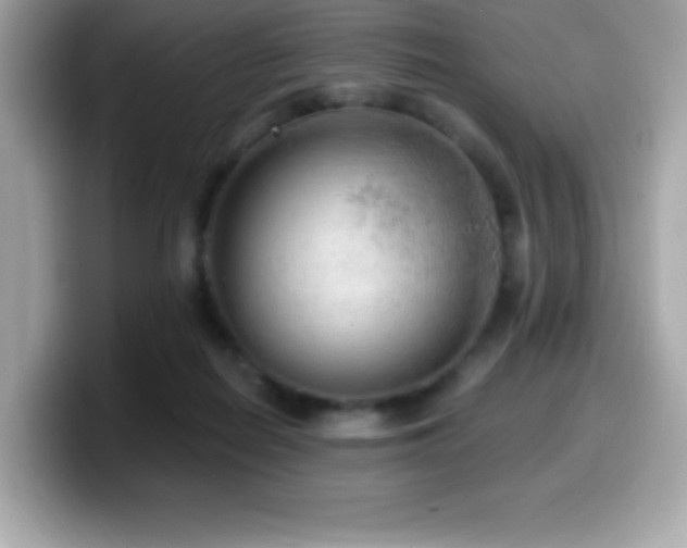 X0000099950266200805231327