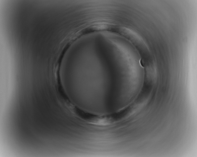 X0000099950267200805231327
