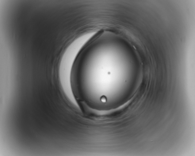 X0000099950268200805231327