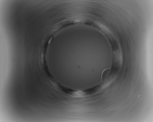 X0000099950269200805231327