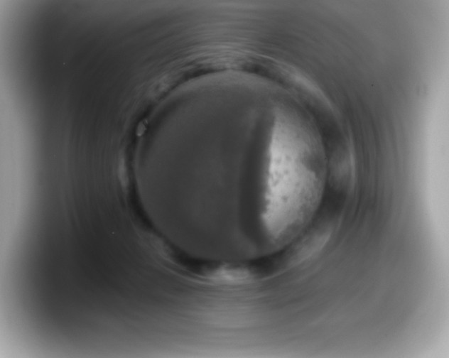X0000099950270200805231327
