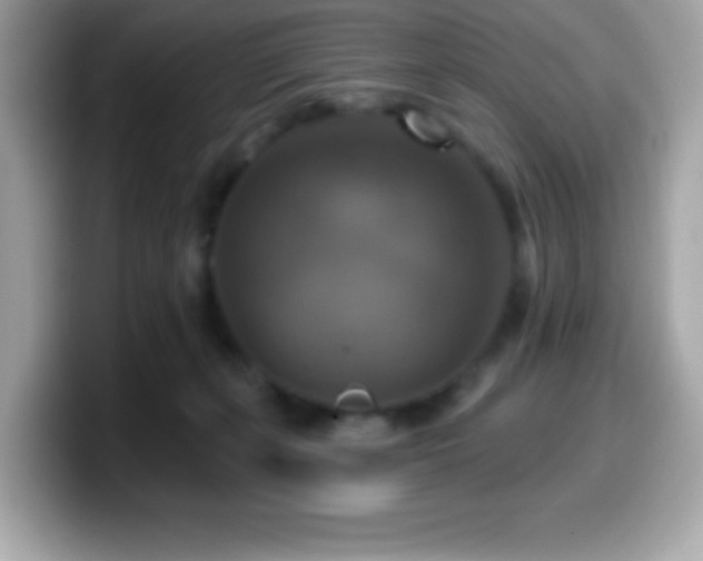 X0000099950271200805231327