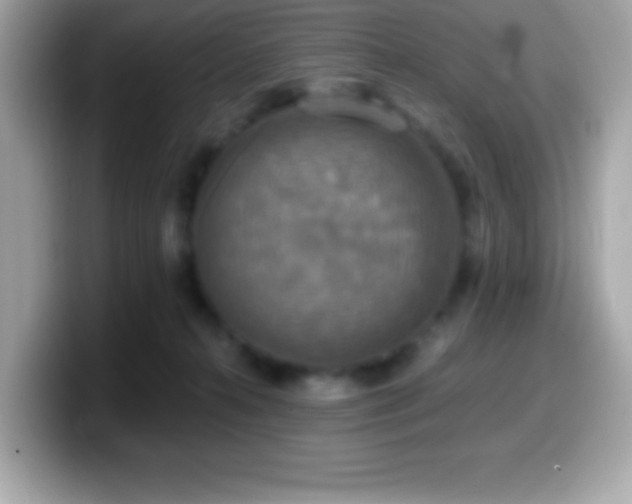 X0000099950272200805231327