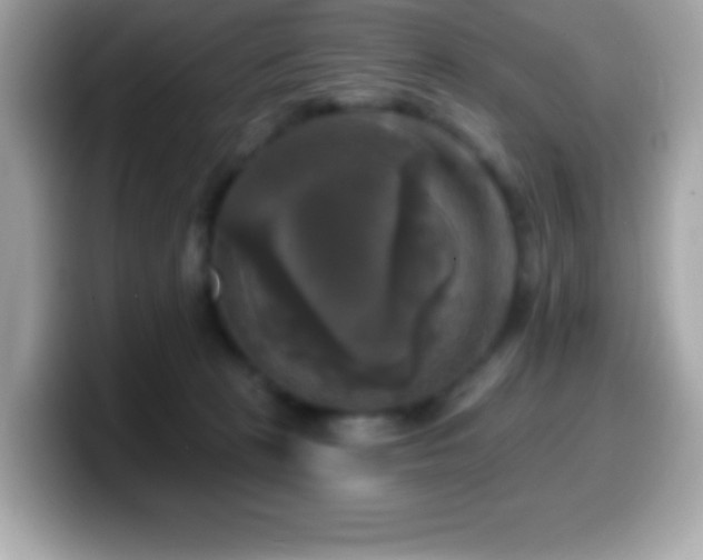 X0000099950273200805231327