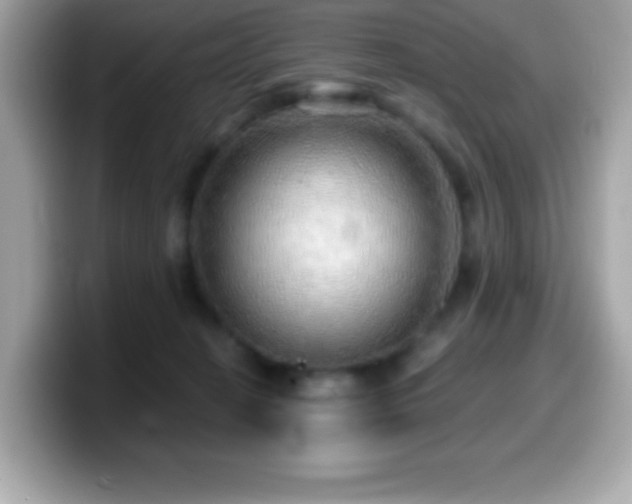 X0000099950274200805231327