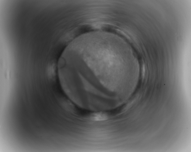 X0000099950275200805231327