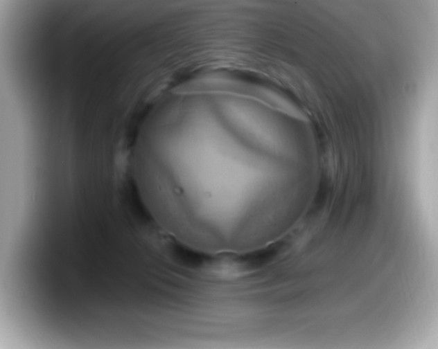 X0000099950276200805231327
