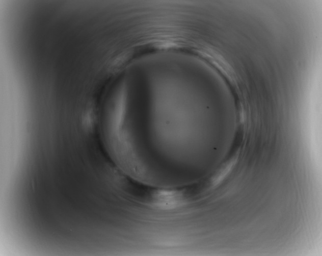 X0000099950277200805231327