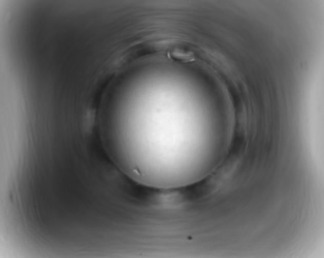 X0000099950278200805231327