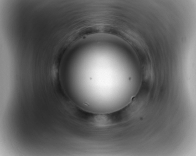 X0000099950279200805231327