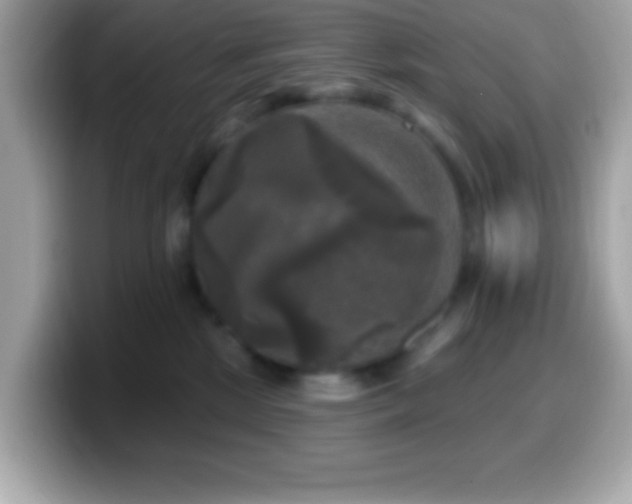 X0000099950281200805231327