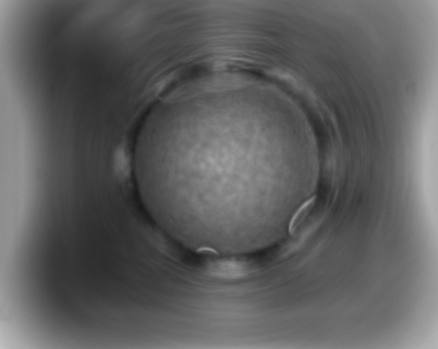 X0000099950282200805231327