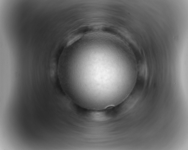 X0000099950283200805231327