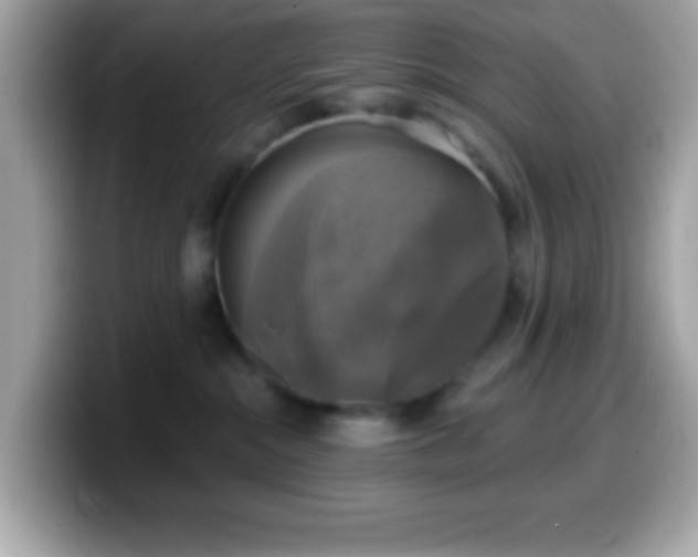 X0000099950284200805231327