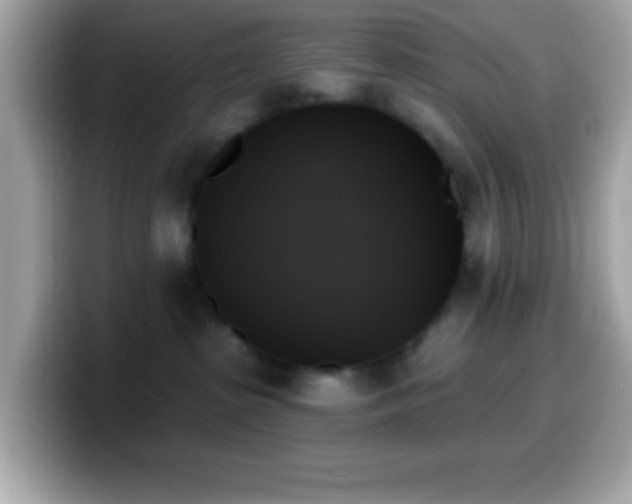 X0000099950285200805231327