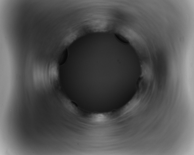 X0000099950287200805231328