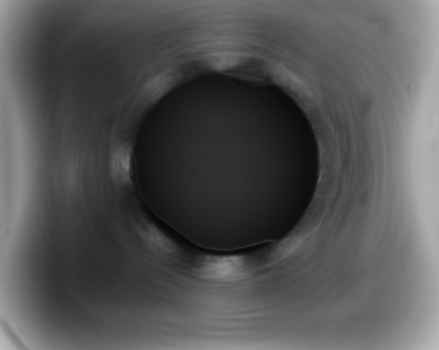 X0000099950288200805231328